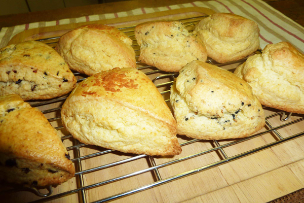 たまごのきもち　たまごファームさえき