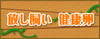 放し飼い　健康卵