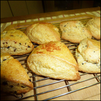 焼きたてスコーン